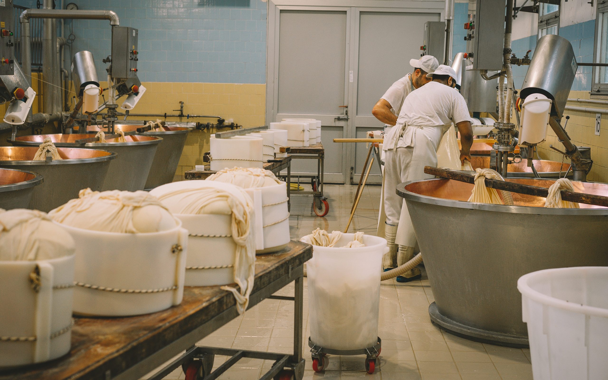 Les Fromages Aop En Auvergne Rhône Alpes 3 Bleus De Caractère 